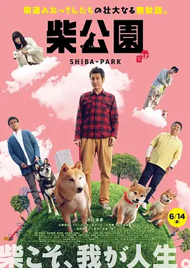 真假的爱
