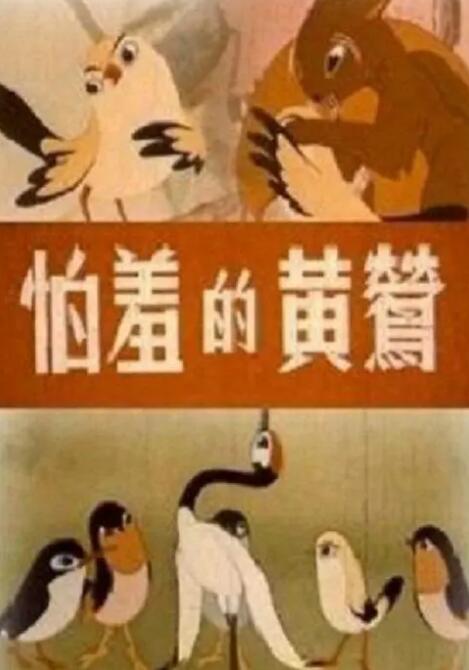 老司机网