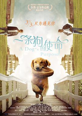 一名疯狂美女健身教练