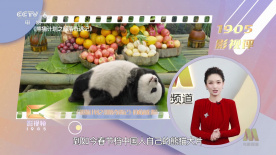 爱的预订